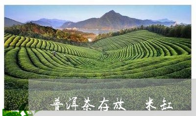 普洱茶存放 米缸/2023041075936